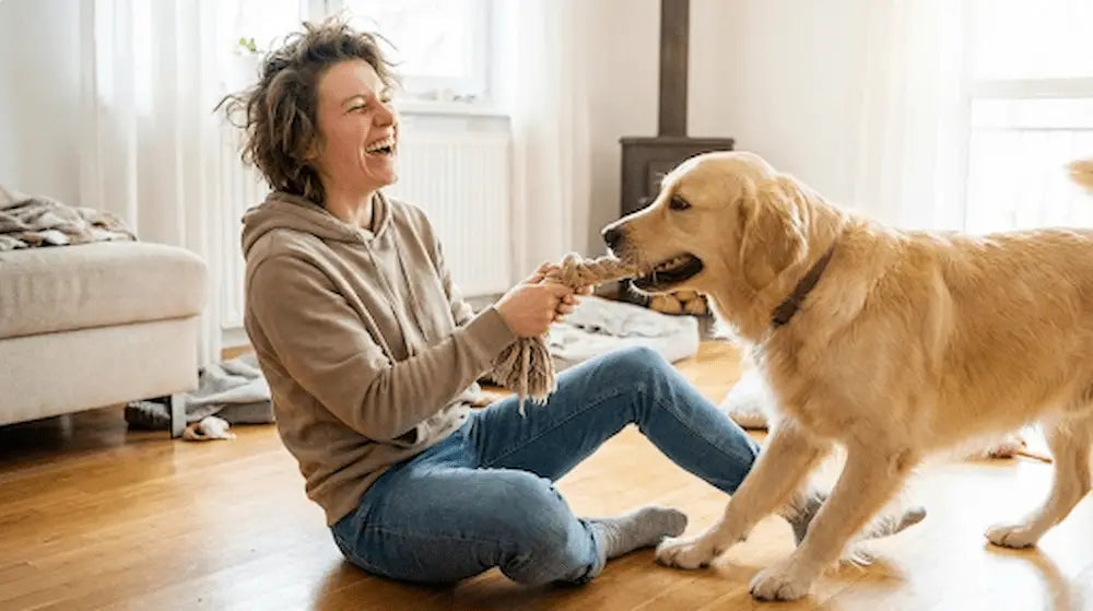 Why Our Furry Friends Are the Ultimate Mood Boosters