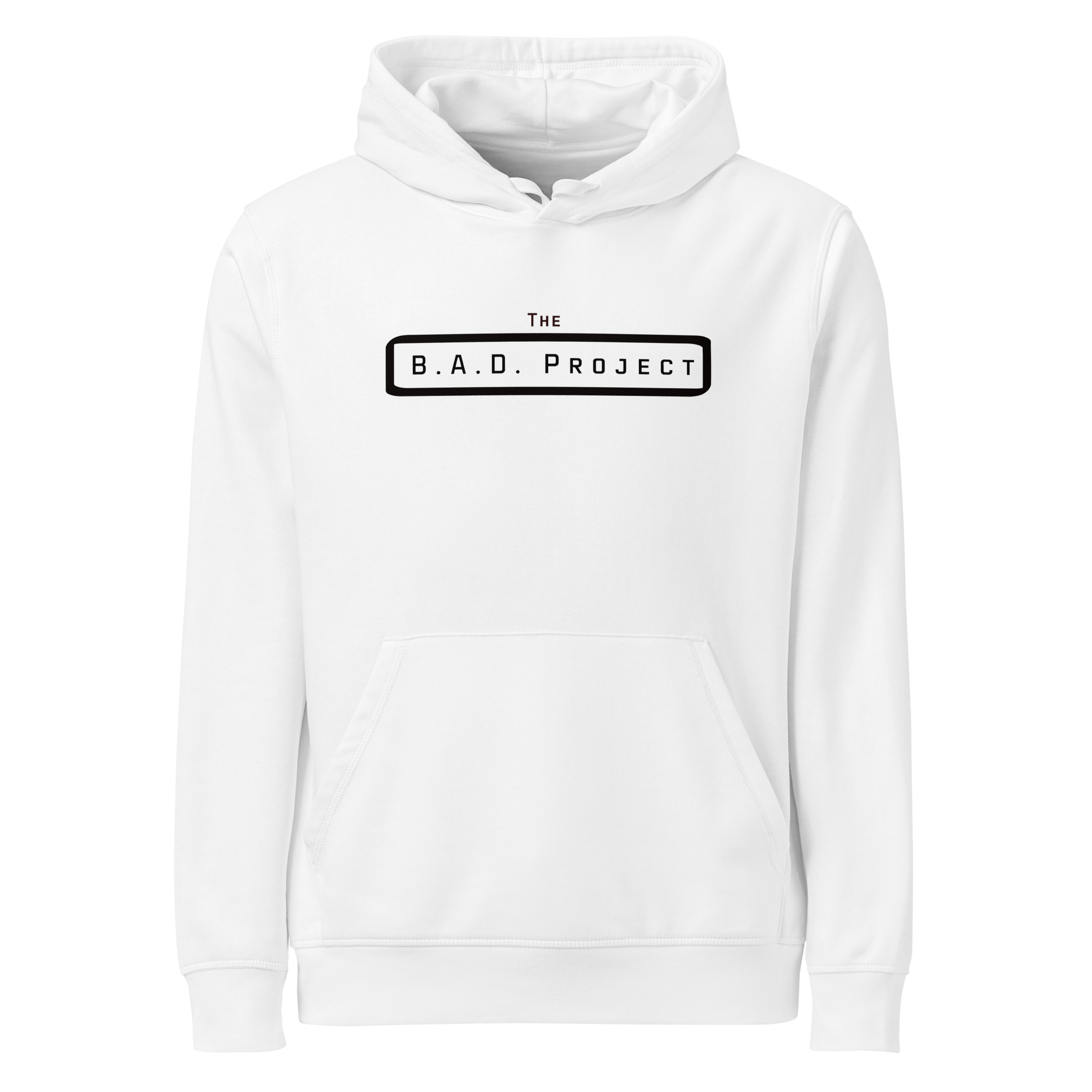 Seeking Asylum Hoodie