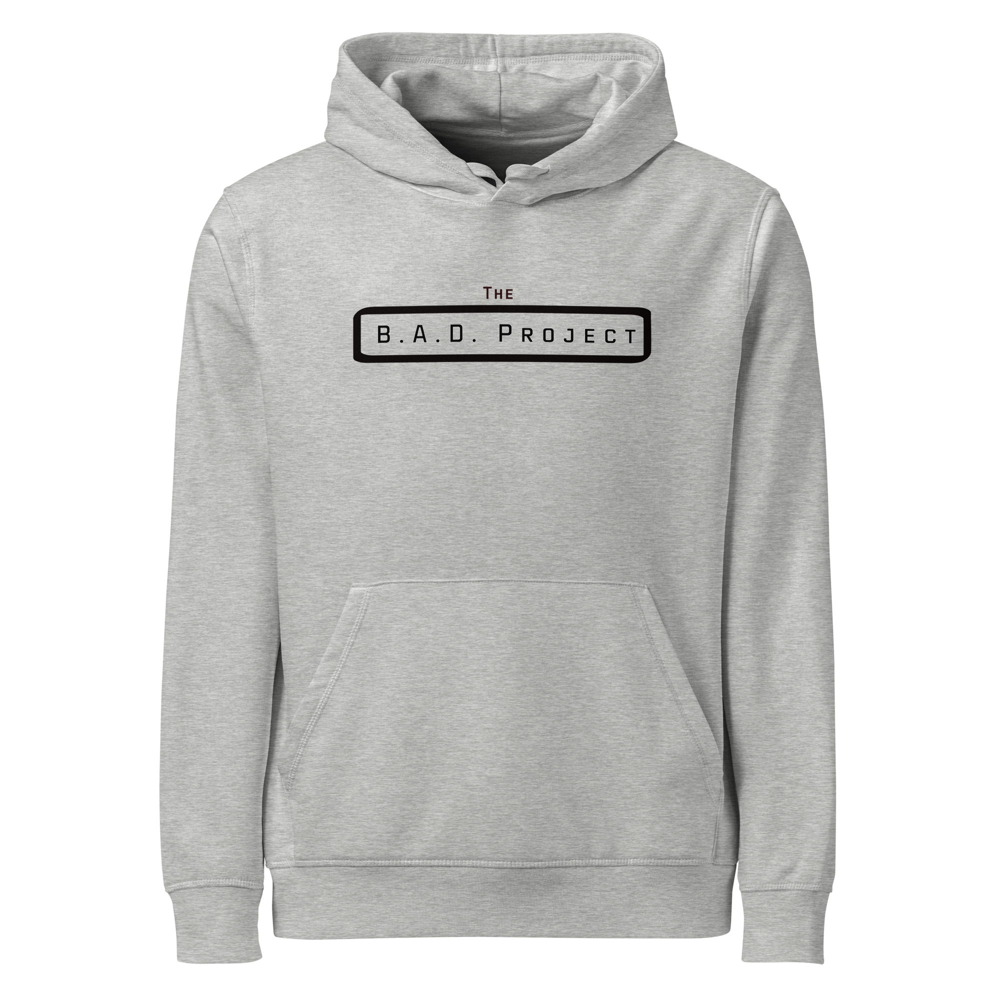 Seeking Asylum Hoodie
